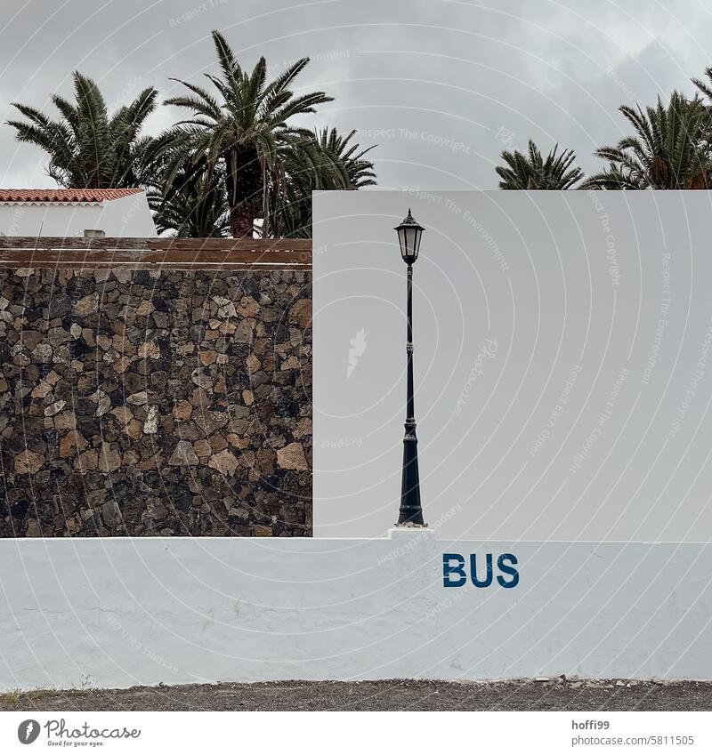 Bus stop with palm trees and lantern Stop (public transport) Public transit Wait Bus travel Passenger traffic palms Geometry Arrangement