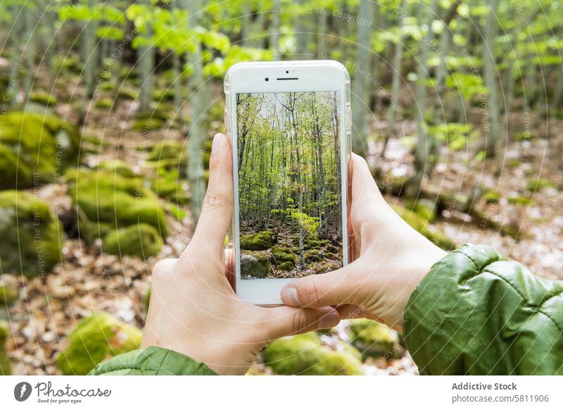 Crop traveler taking photo of forest on smartphone take photo woods mobile photography pyrenees device nature gadget moment using vacation memory screen display