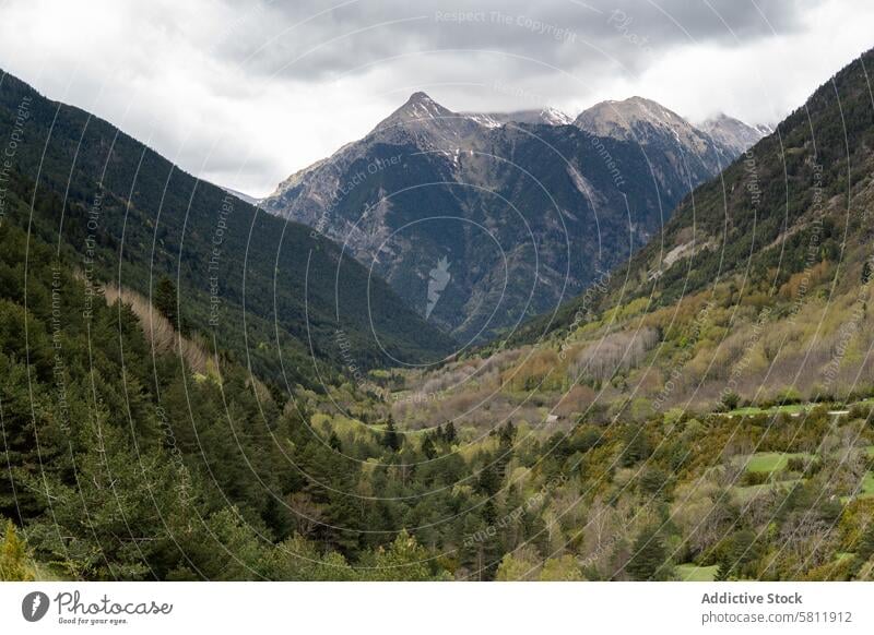 Rocky mountains covered with snow on sunny day range cloud landscape scenery highland rock ridge breathtaking pyrenees forest scenic formation woods terrain