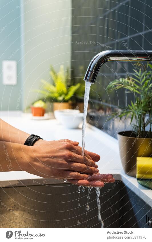 Crop woman washing hands above sink at home water flow hygiene pour tap kitchen aqua fluid fast motion power speed energy dynamic stream rapid translucent