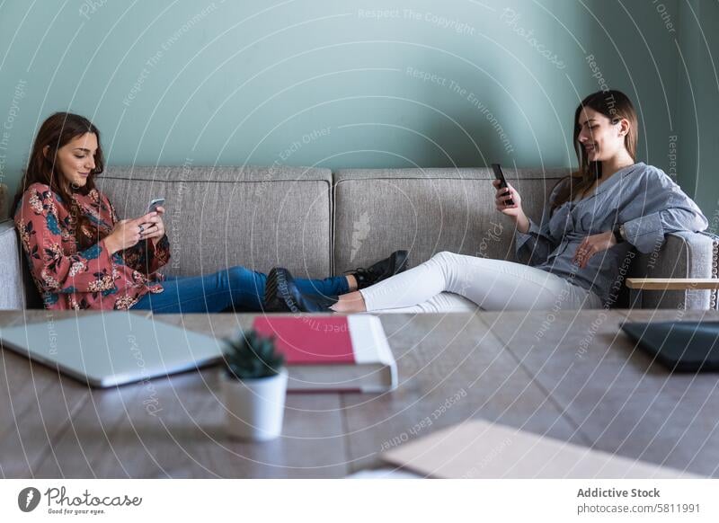 Young women resting on sofa and browsing smartphones using together calm comfort friend gadget living room chill cozy young modern mobile girlfriend surfing