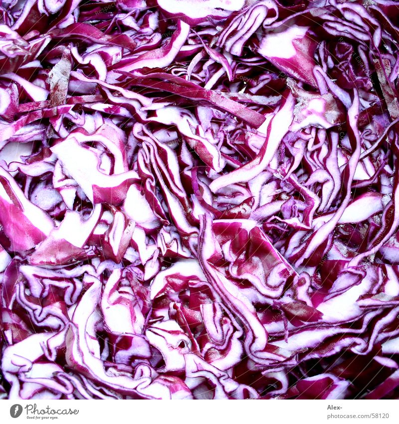red cabbage Red Cabbage Violet Healthy Nutrition Vitamin Lettuce Anger GDR Food garnishing