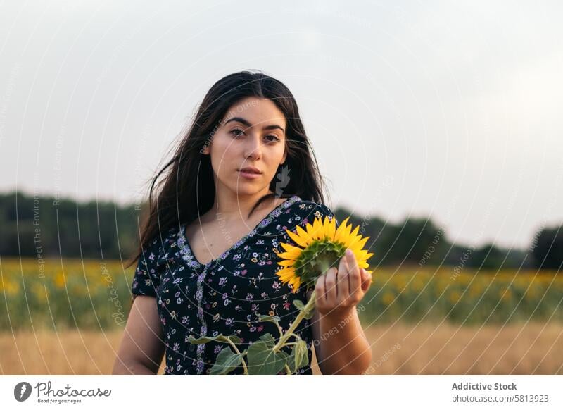 Portrait of a pretty young woman with long hair in the countryside sunflower nature field people summer agriculture outdoor yellow happy landscape background