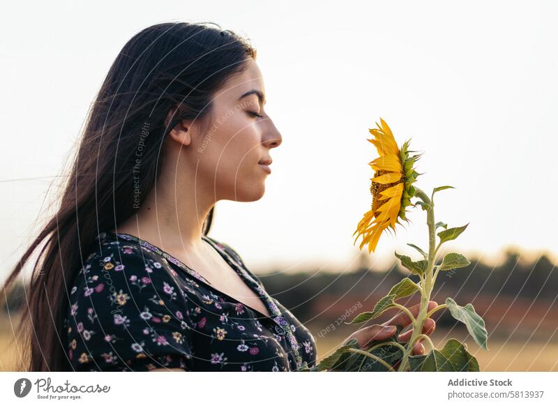 Portrait of a pretty young woman with long hair in the countryside sunflower nature field people summer agriculture outdoor yellow happy landscape background