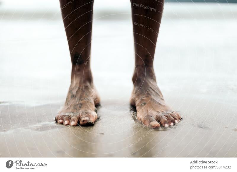 Tattooed feet on the sand on the beach. foot tattoo vacation closeup travel freedom tourist skin people human body barefoot life nature sandy male