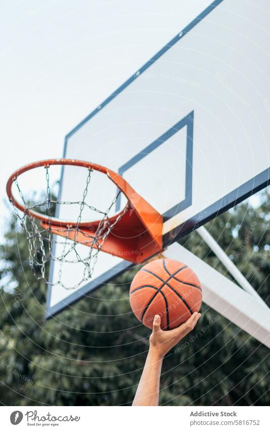 Close-Up of Hand Holding Basketball Near the Hoop basketball sport fun young game court team lifestyle player urban outdoor competition athletic active playing