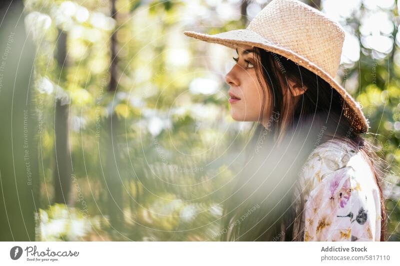 Woman enjoying a day in nature in the forest female young park lifestyle walk leisure outdoors landscape sunny leaves tree caucasian walking holiday happiness