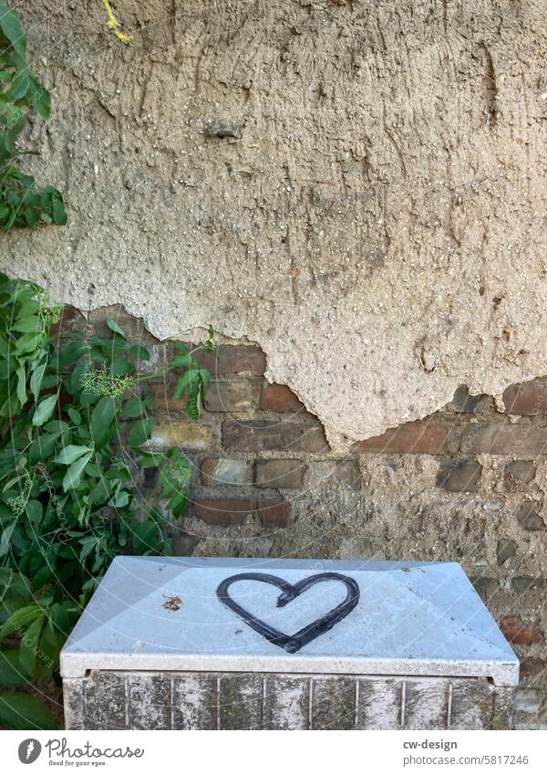 Heart on power box brick wall Plant Gray