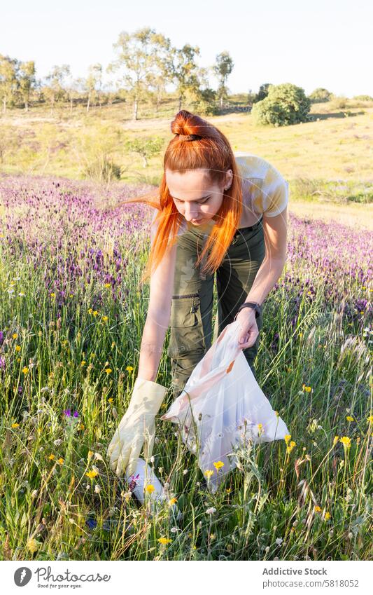 Woman picking up trash in a blooming field woman cleanup environment conservation wildflower greenery garbage volunteer outdoor eco-friendly sustainability