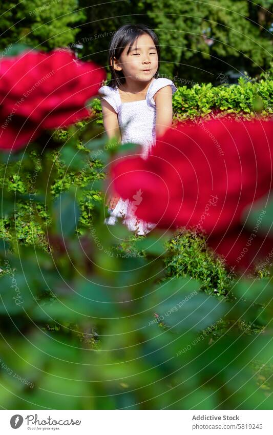 Young girl enjoying a garden in Europe asian vacation europe red rose green lush playful posing child travel tourism holiday leisure outdoor nature flora plant