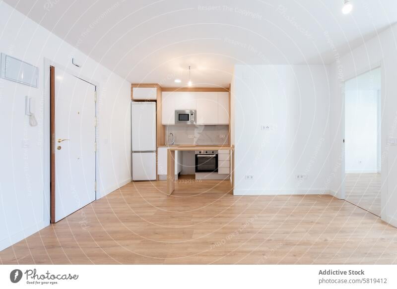 Spacious and Modern Empty Apartment Interior apartment interior kitchen living area spacious modern wooden furniture built-in appliance flooring door light