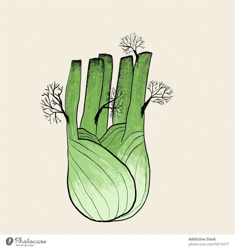 Fennel bulb illustration on beige background fennel hand-drawn green texture fronds vegetable organic natural food diet nutrition healthy vegan vegetarian