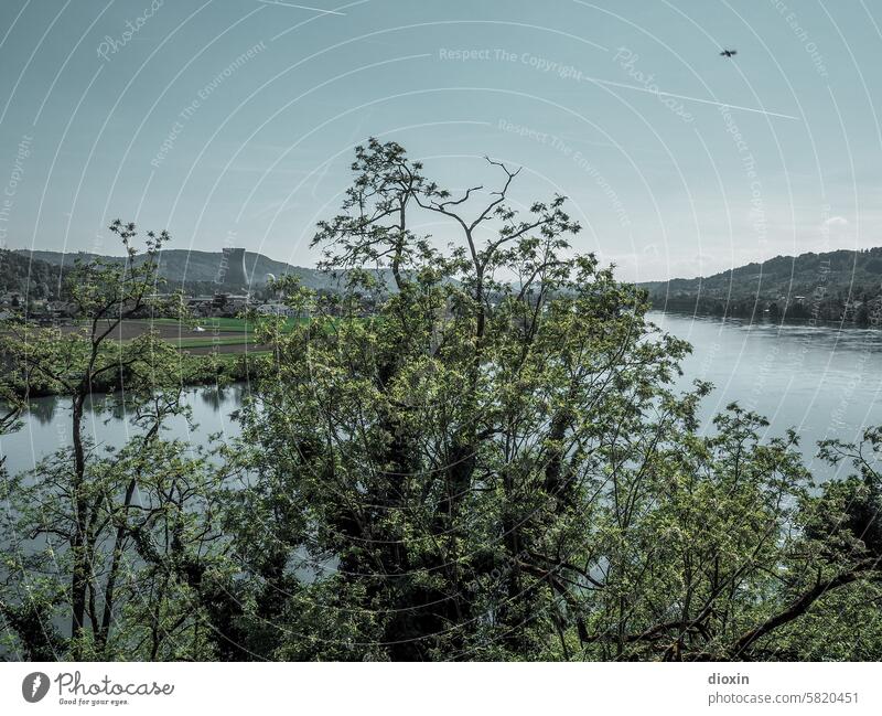 Idyllische Flusslandschaft mit AKW Landscape River Rhine Nature Water Environment Sky Nuclear Power Plant Tree riverside Beautiful weather Sunlight