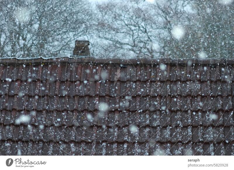 Rooftop moody snowflake weather building sky house snowfall winter seasonal frosty dull tile architecture chimney dreary dark tree rooftop housetop home snowing