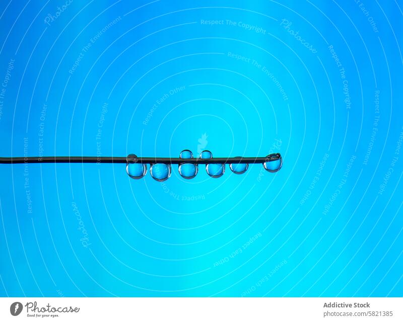 Water drops on a thin stem against a clear blue sky water tranquil minimalist delicate clinging row background nature natural element simplicity serene peaceful