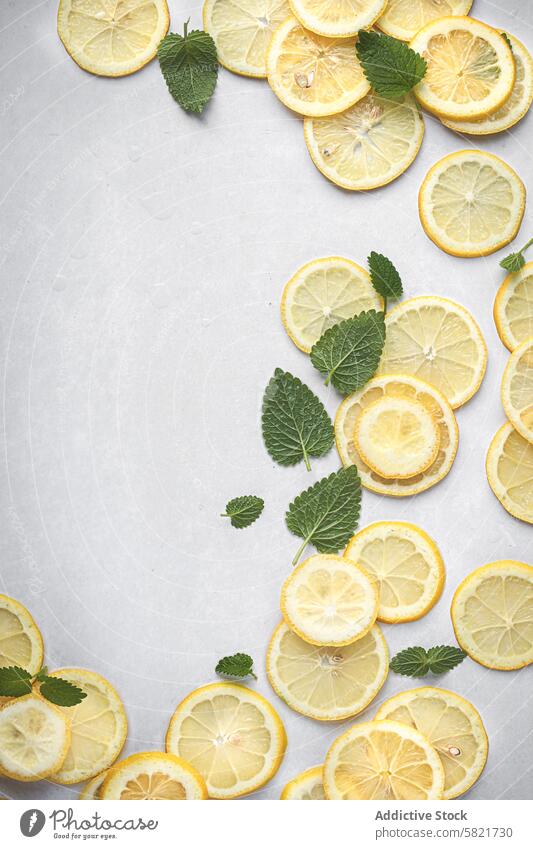 Fresh Lemons and Herbs Arrangement with Copyspace lemon slice herb fresh background light copy space arrangement citrus yellow ingredient healthy cooking food