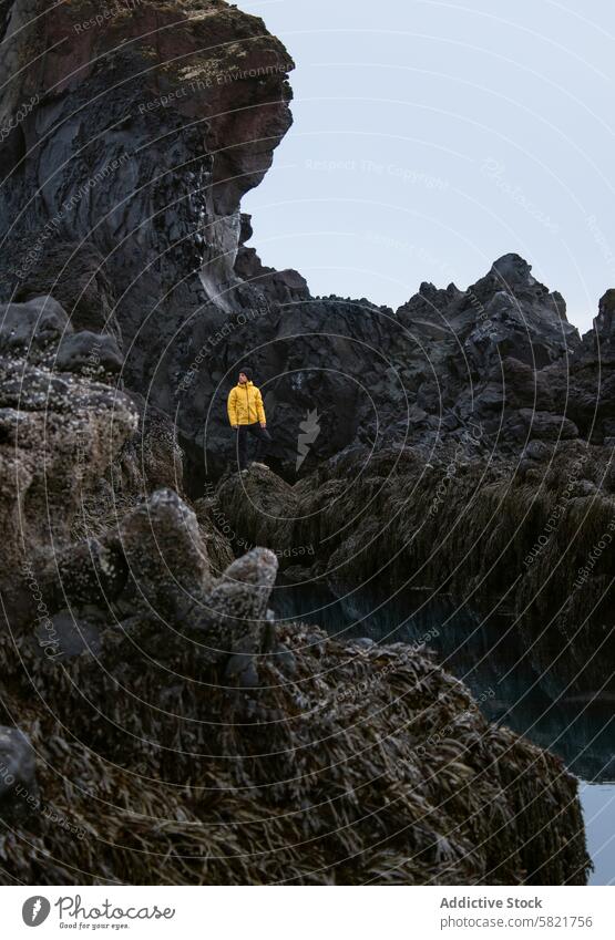 Man in yellow jacket explores rocky Icelandic terrain iceland explorer rocks cliffs seaweed coastline natural beauty isolation landscape adventure travel