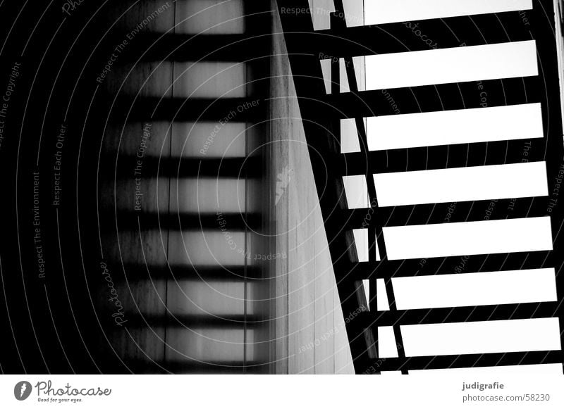upward Reflection Black White Construction Light Detail Black & white photo Stairs Upward Downward Handrail Shadow Architecture