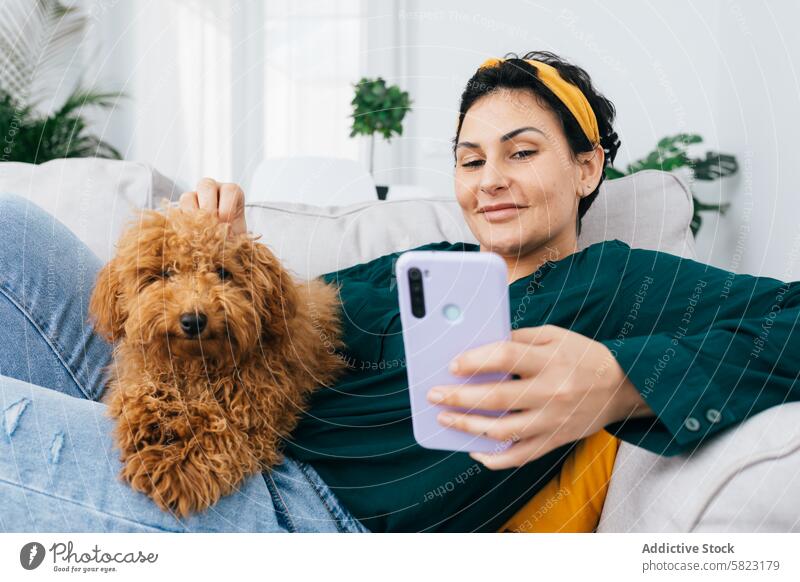 Woman relaxing on sofa while taking selfie with her dog woman smartphone pet home indoor cozy casual relaxation animal comfort living room female adult