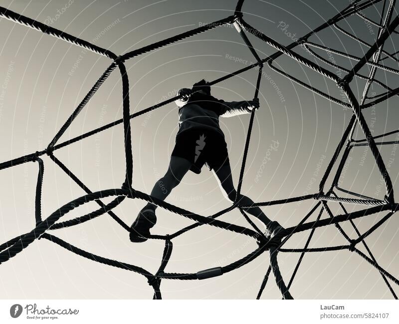 Spiderwoman *900* Net climbing scaffold Climbing Worm's-eye view Playground change of perspective sent Happy fun challenge Joy Network Spider's web To hold on