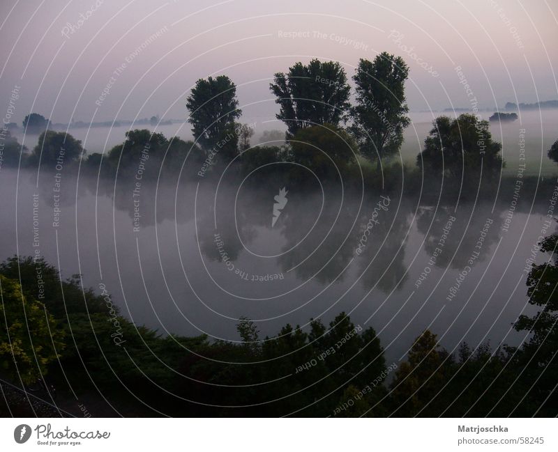 Foggy reflections Tree Lake Reflection Sunrise Mystic Romance Landscape River Water Sky Idyll Morning Dawn the morning hour has gold in its mouth Moody