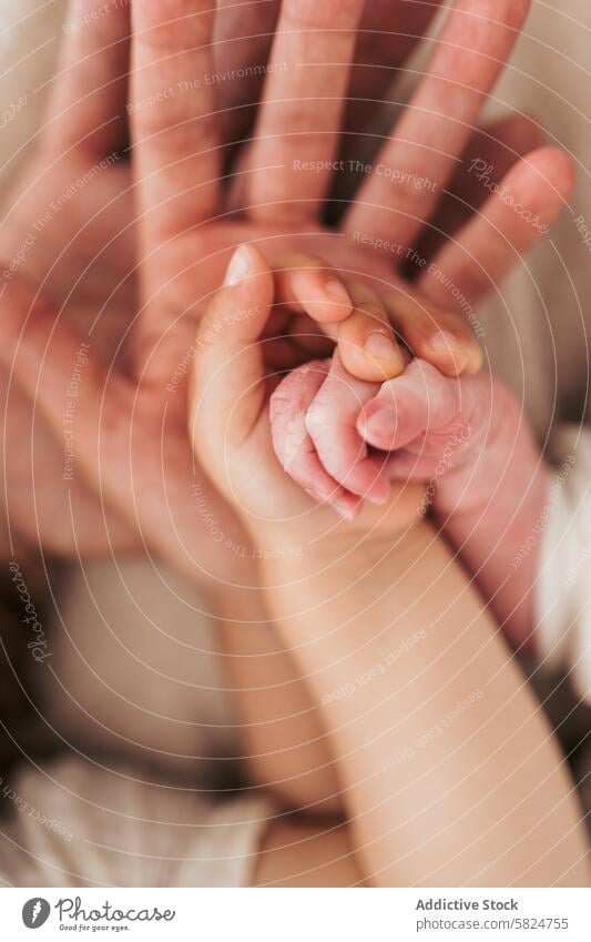 Tender moment between parent and baby's hand finger touch hold trust love bond care nurture skin close-up human connection family infant newborn gentle