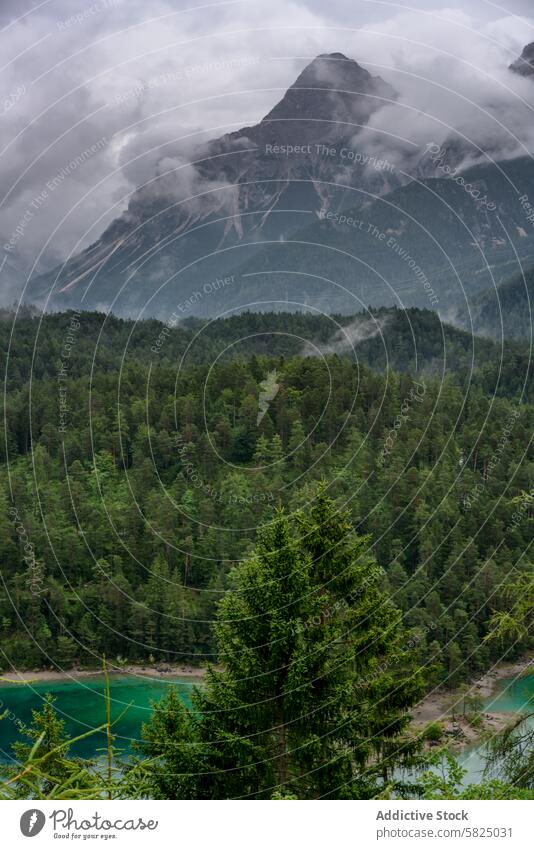 Misty mountain landscape in the Alps alpine lake forest mist cloud peak nature beauty serene scenery italian alps austrian alps cloud-covered majestic natural