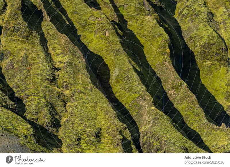 Lush green ridges of Iceland's highlands iceland texture aerial view moss nature landscape outdoors geology mossy pattern natural environment scenic beauty