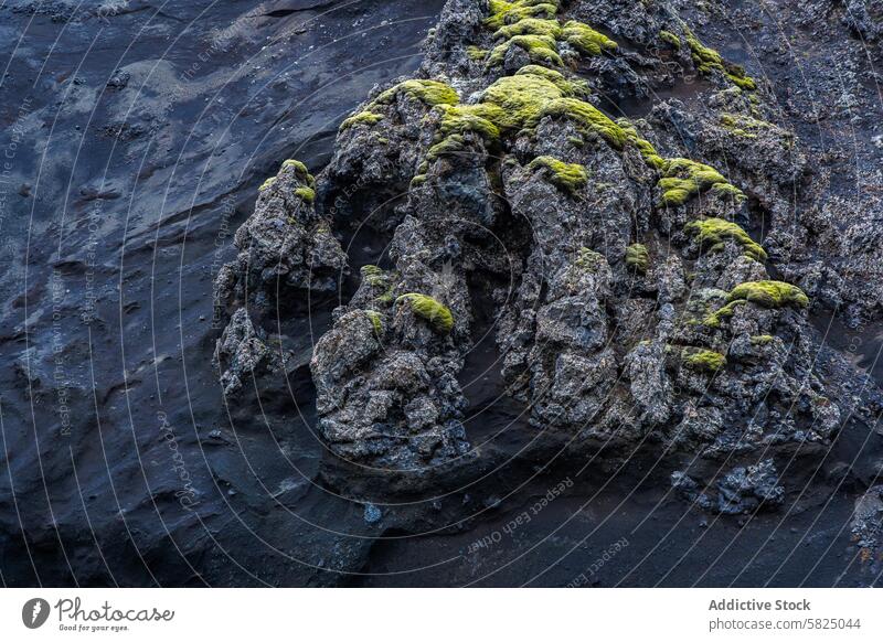 Textured volcanic rock with moss in the Icelandic highlands iceland texture landscape green dark rugged formation stark lava nature terrain geology outdoors