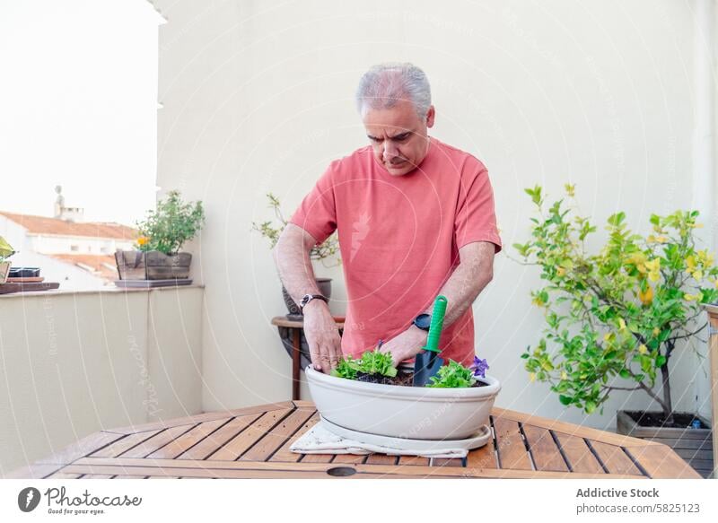 Senior man gardening on a balcony in urban setting senior plant container lush outdoor activity hobby green cultivation care nurturing growth retiree leisure