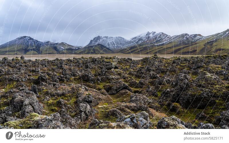 Rugged lava fields and snowy peaks in Icelandic Highlands landscape mountain highland iceland nature rugged dramatic contrast outdoor wilderness scenic terrain