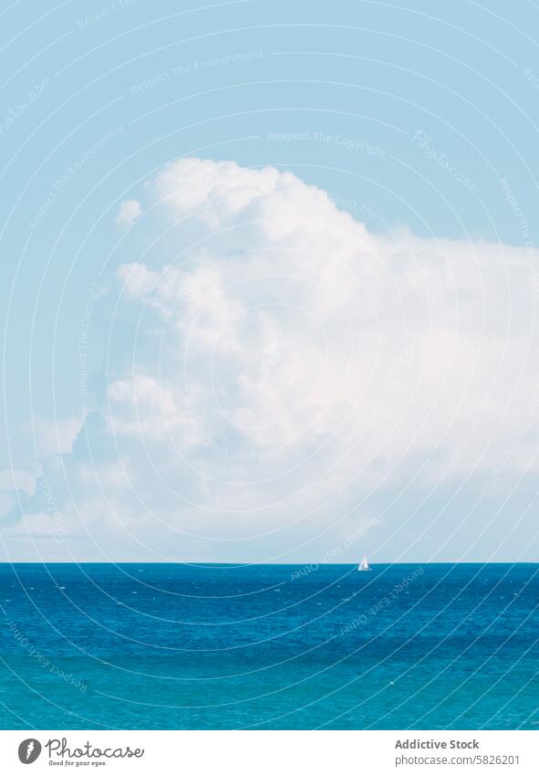 Serene Seascape with Sailboat on Horizon ocean blue sky clouds sailboat tranquil seafaring peaceful horizon calm marine nautical sailing water serene travel