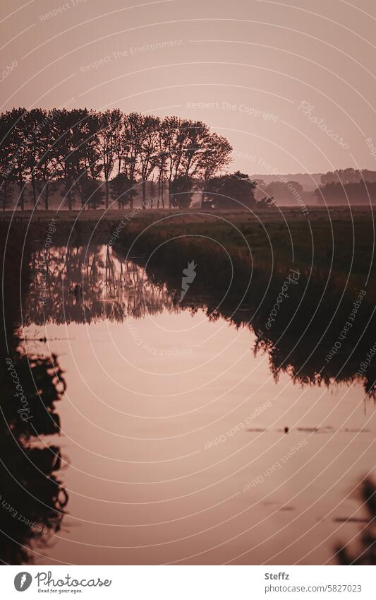 Quiet summer evening in Lower Saxony reflection Meadow Water tranquillity Loneliness silhouettes Calm calm atmosphere Peace Dreamily Gorgeous Grove of trees