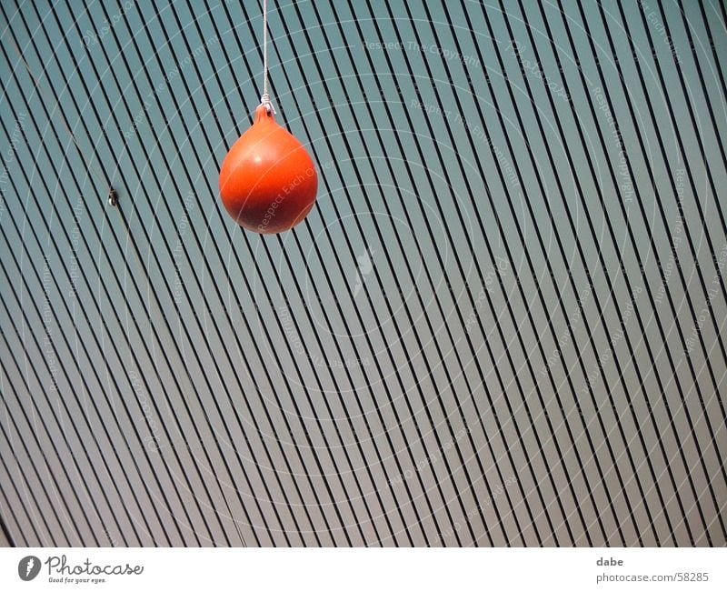 Catch me Nuremberg Berlin zoo Dolphinarium Red Blanket Warehouse Ball Line Structures and shapes