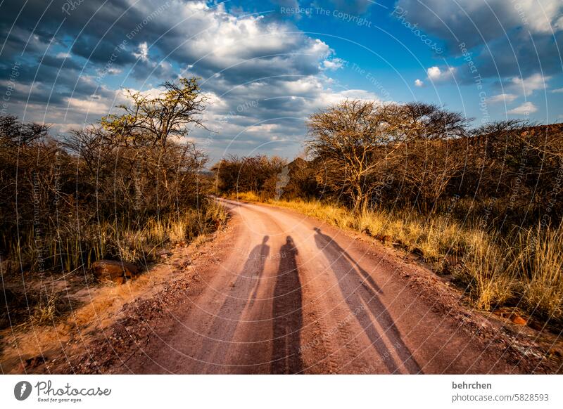 shadow cast Lanes & trails Together muck about Family in common Parents Infancy Family & Relations Adventure Colour photo Shadow Shadow play Nature Sky Gorgeous