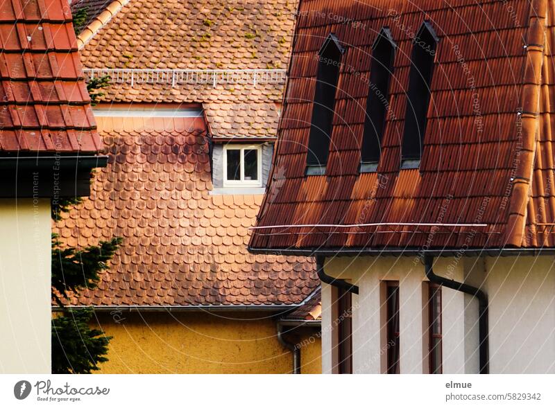 Various tiled roofs with windows Tiled roof Window dwell address Roofing tile Old building Skylight Eaves Snow guard Structures and shapes Blog condominium Home