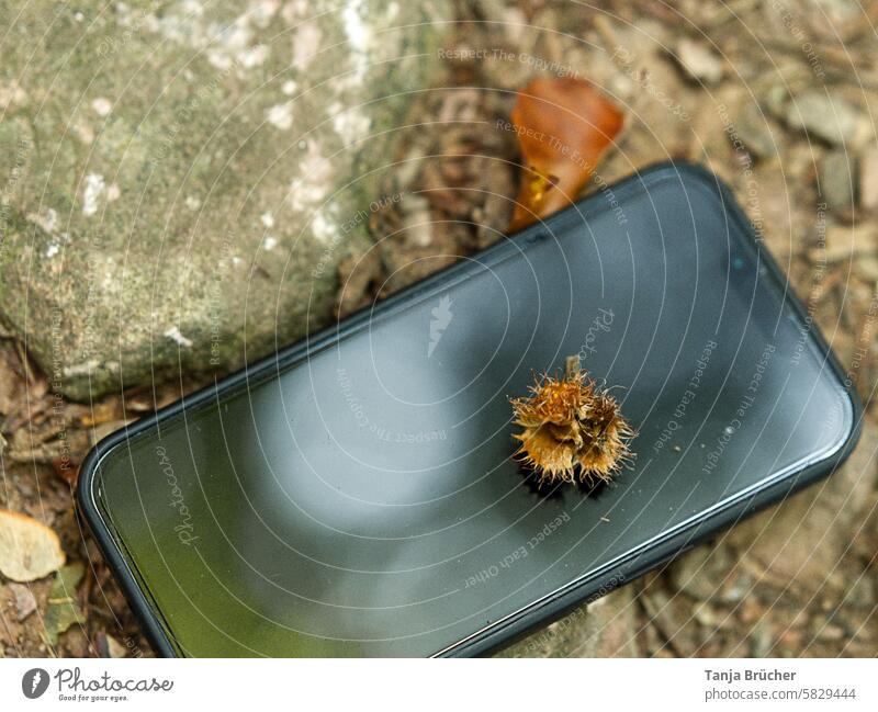 Cell phone in the forest - fortunately not broken Cellphone mobile phone smartphone Technology in the wood forest path Doomed lost Fall down Lifestyle