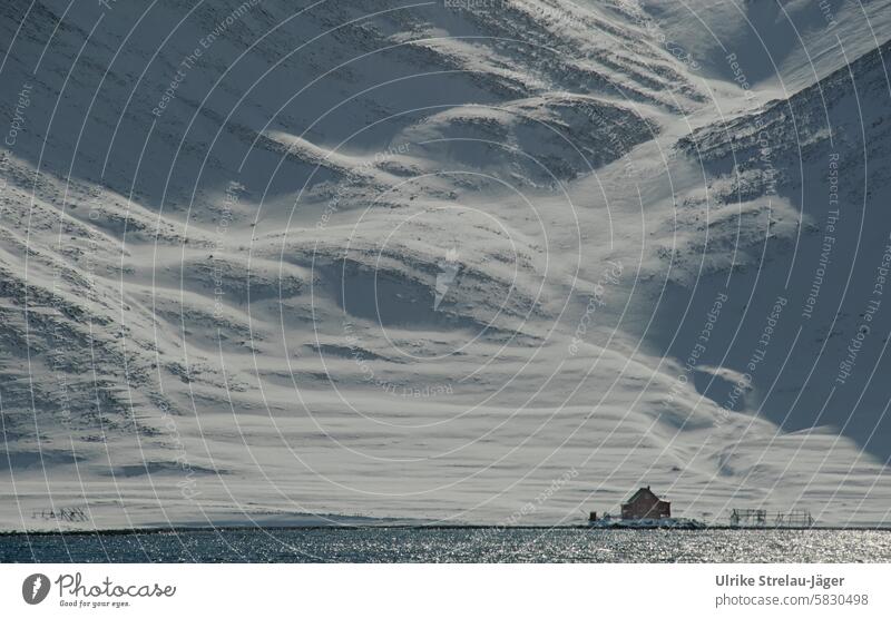 Norway | Lonely house on a fjord in front of a snow-covered mountain face snow covered mountainside Slope Fjord Mountain steep slope Rock Snow chill Loneliness