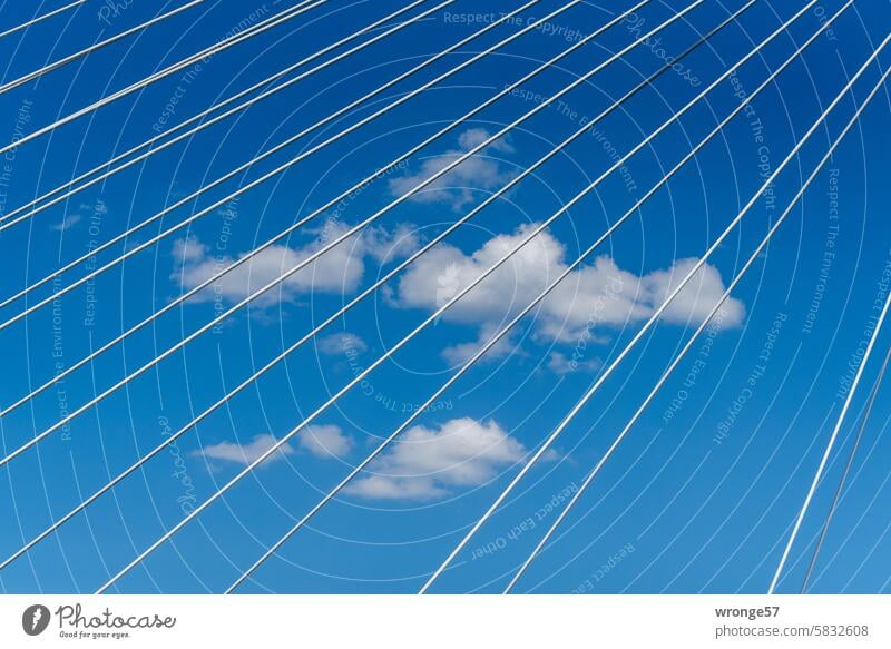 Fair weather clouds behind bridge cables fair weather clouds Beautiful weather white clouds Blue sky Sky Clouds Exterior shot Colour photo Day Bridge cables