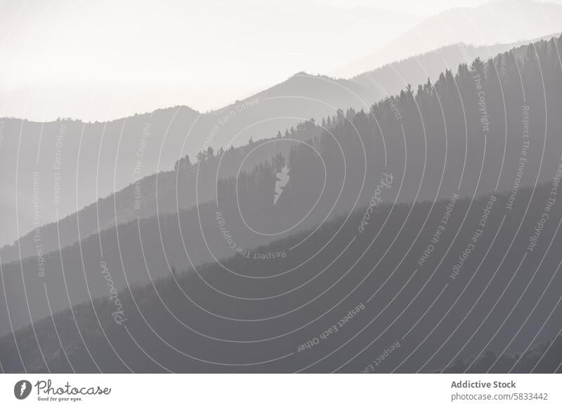 Misty Mountain Layers in Valle de Liebana, Spain mist mountain layer serene gradient valle de liebana cantabria spain nature tranquil landscape silhouette