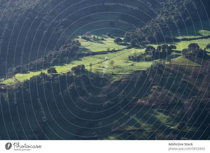 Misty morning light in Valle de Liebana, Cantabria sunlight mist tranquil landscape valle de liebana cantabria spain serene scene nature outdoor shadow forest