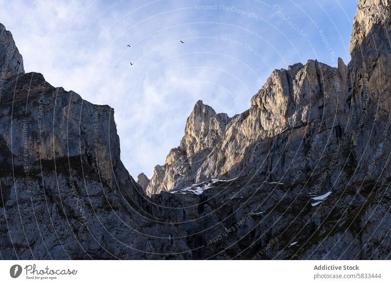 Majestic mountain peaks and birds in Valle de Liebana sky nature rugged towering valle de liebana cantabria spain serene adventure soar high blue rock cliff