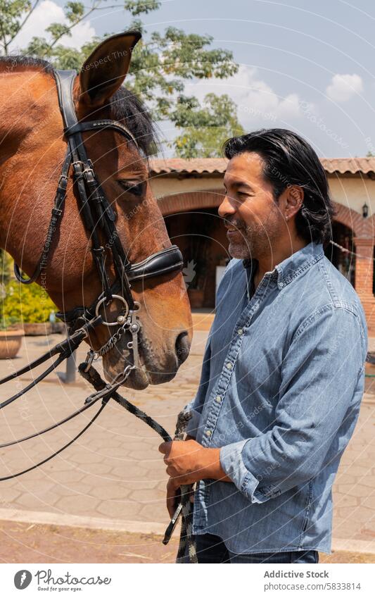 Man in denim smiling at a horse on a sunny day man shirt bridle smile affection outdoor rustic animal equine bonding recreation leisure farm yard daytime trees