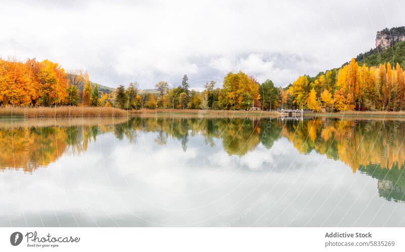 Autumn calmness at UÃ±a Lagoon in Cuenca uÃ±a lagoon cuenca autumn reflection water foliage vibrant tranquil scenery nature landscape serene peaceful golden