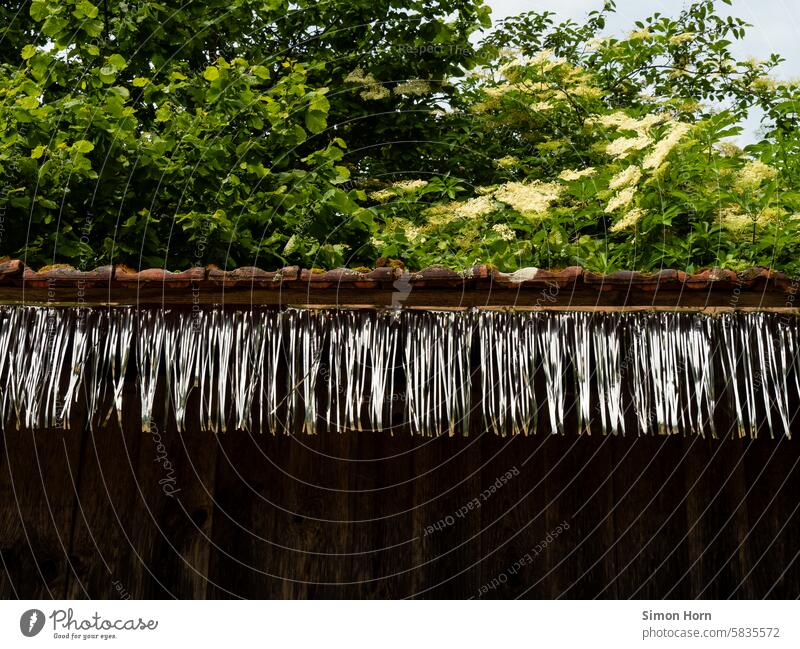 glittering party decorations on the edge of a roof overgrown with green branches Decoration Firm celebration sparkle Silver reflection Feasts & Celebrations