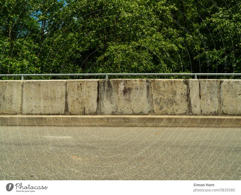 Well-paved roadside in front of a green wall of trees Roadside rail Forest Edge of the forest Border Street Opposites Nature Divide Lanes & trails Country road