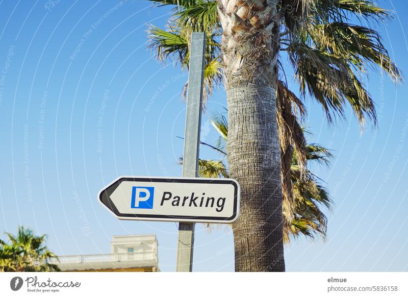 P Parking sign next to a palm tree Parking lot Ocean Mediterranean sea Palm tree Corsica Summer vacation Corse French Vacation & Travel Blog Figarella