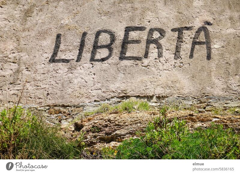 LIBERTA is written in black on a house wall / Freedom libertà French Graffiti Corsica Island Mediterranean sea Independence casual Autonomy libertas pick Blog