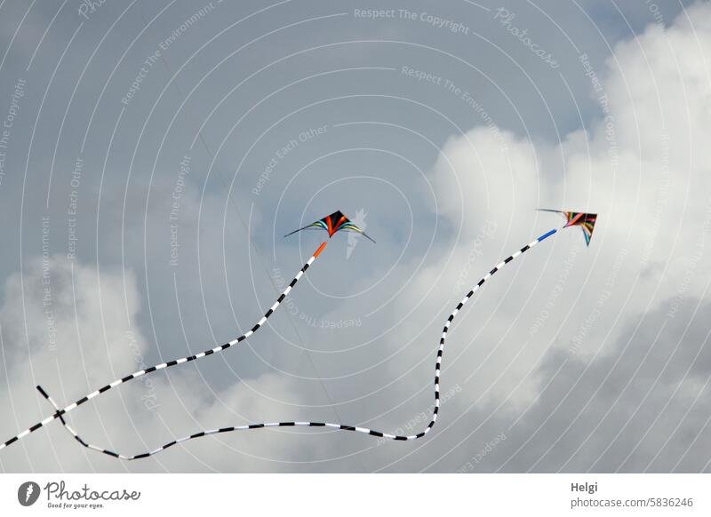 Joyful dance of the stunt kites Kite Kite festival Sky Flying Clouds two Formation Formation flying Wind Leisure and hobbies fly a kite Air Infancy Hang gliding