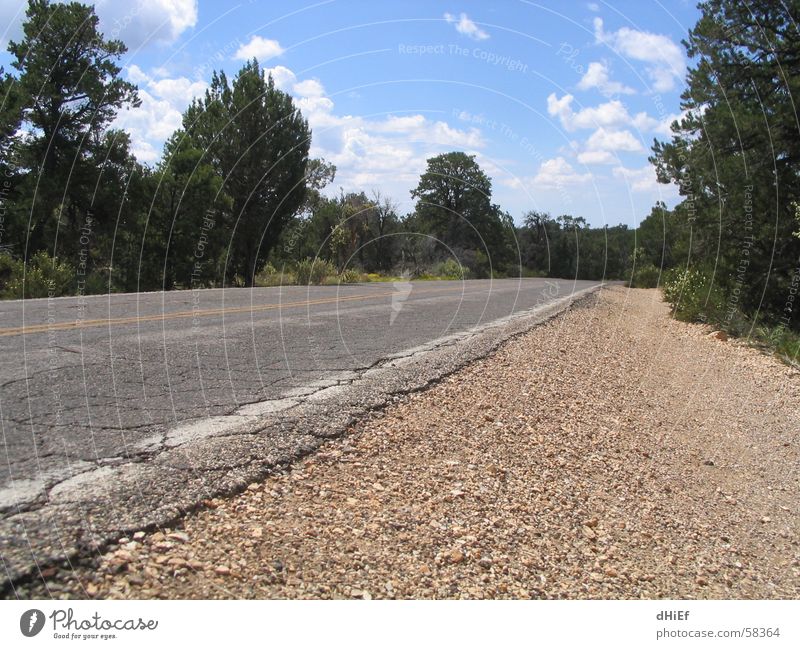 A long way to go Far-off places Forest Asphalt Loneliness Infinity Street